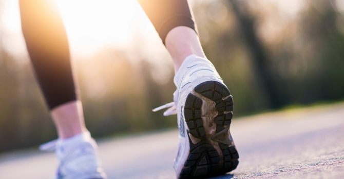 Established Patient Exam