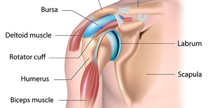 Why Shoulder Pain Lingers Even After Injections and Therapy image
